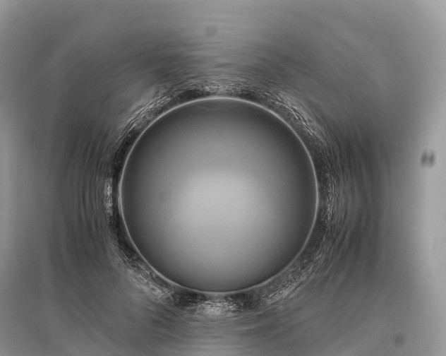 X0000096160696200801251127