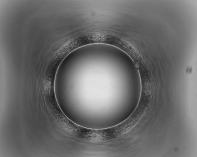 X0000096160697200801251127