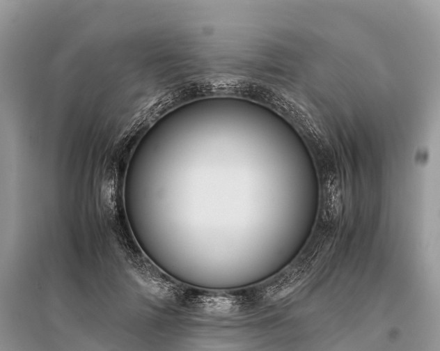 X0000096160698200801251127