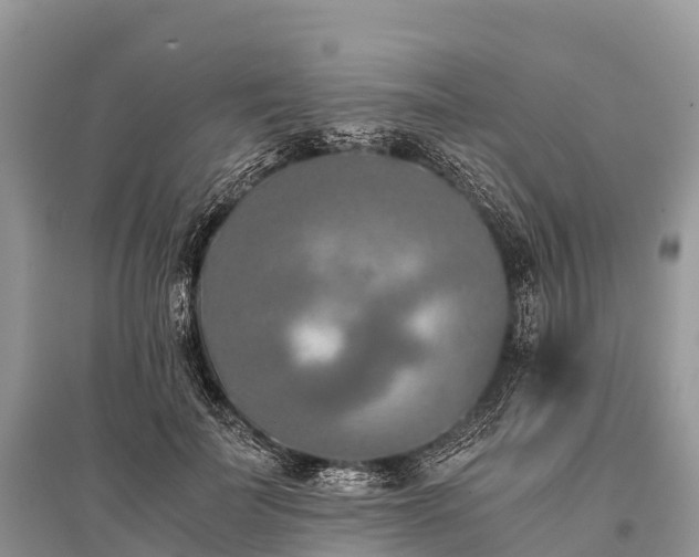 X0000096160699200801251127