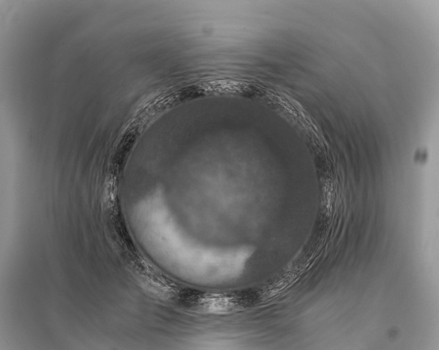 X0000096160701200801251127
