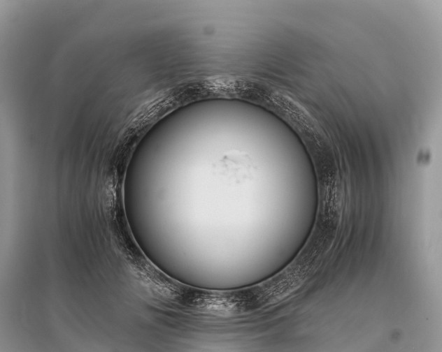 X0000096160702200801251127