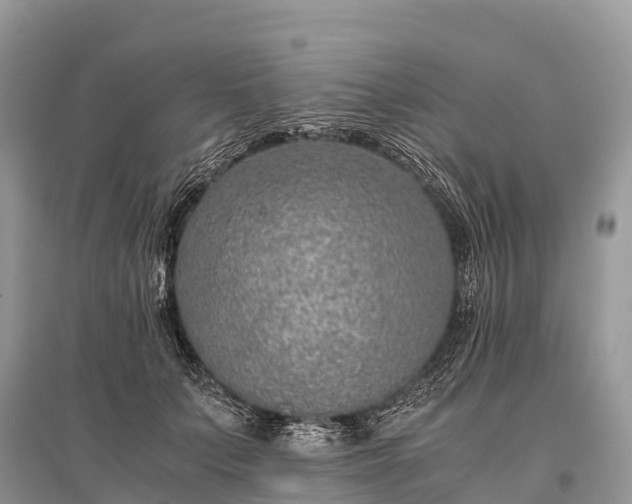 X0000096160703200801251127