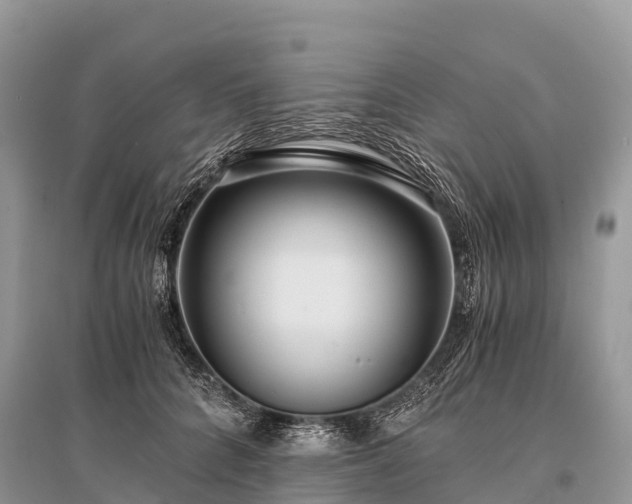 X0000096160704200801251127