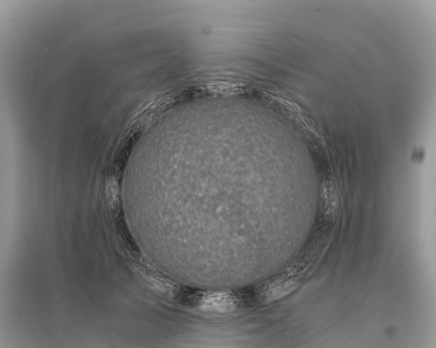 X0000096160705200801251127