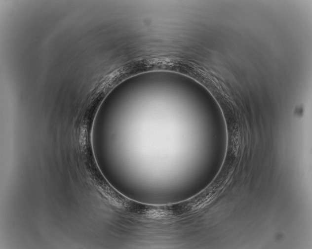 X0000096160708200801251127