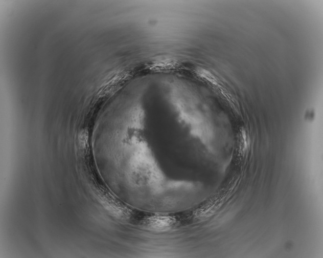 X0000096160711200801251127