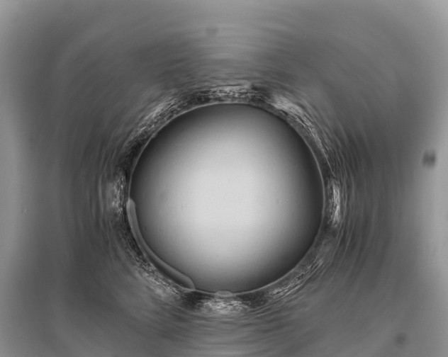 X0000096160712200801251127