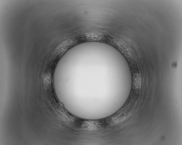 X0000096160713200801251127
