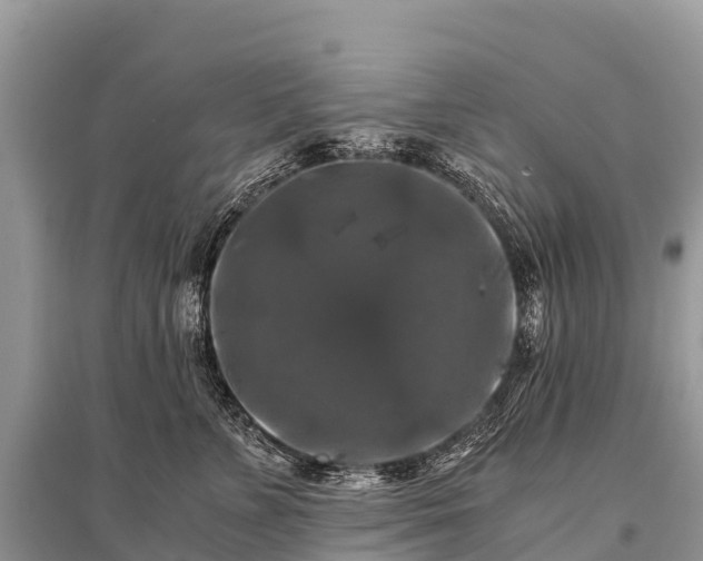 X0000096160715200801251127