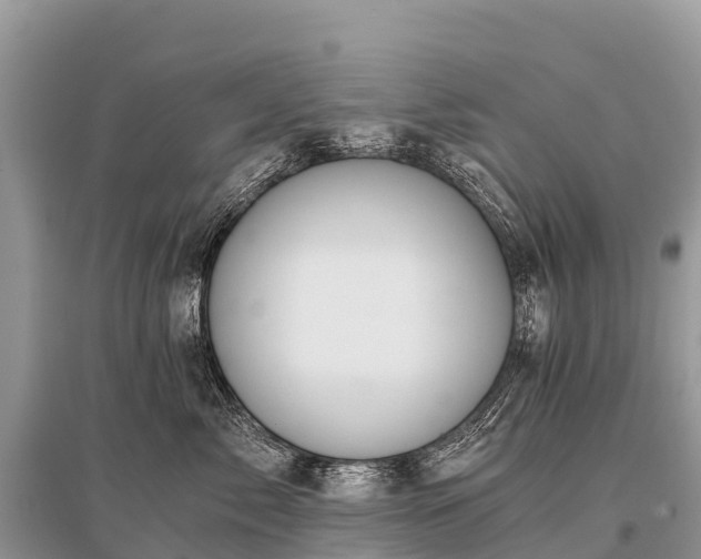 X0000096160717200801251127