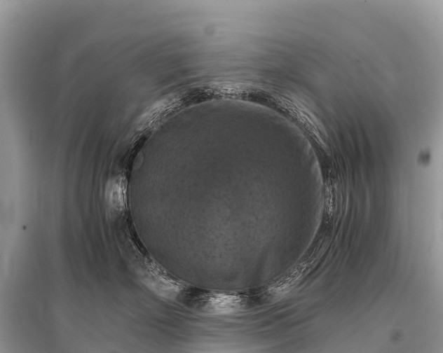 X0000096160718200801251127