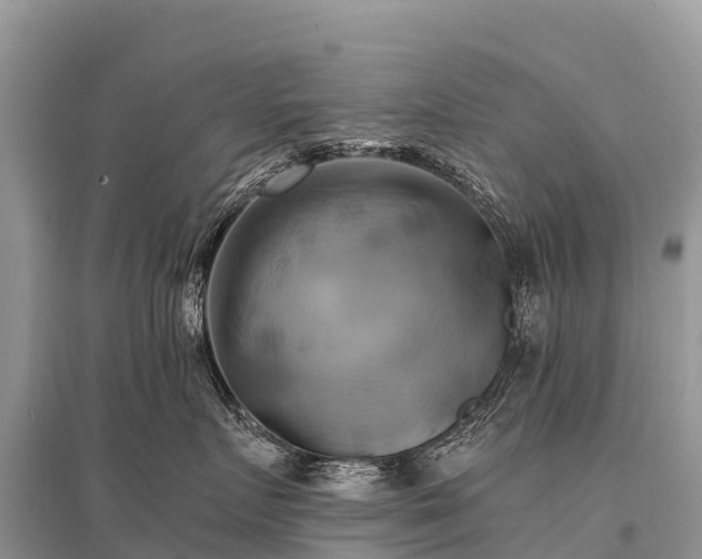 X0000096160719200801251127