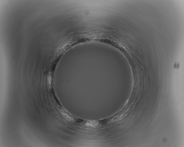 X0000096160720200801251127