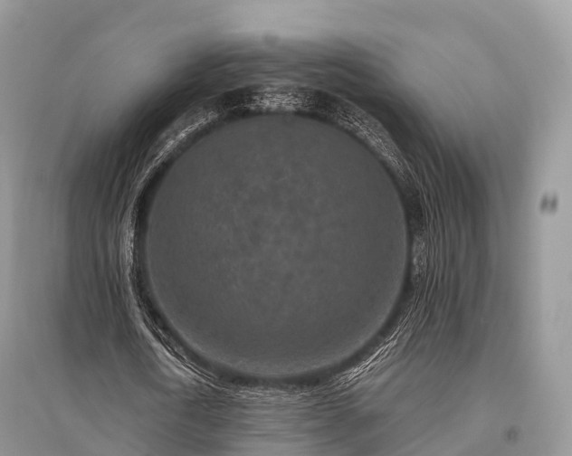 X0000096160722200801251126