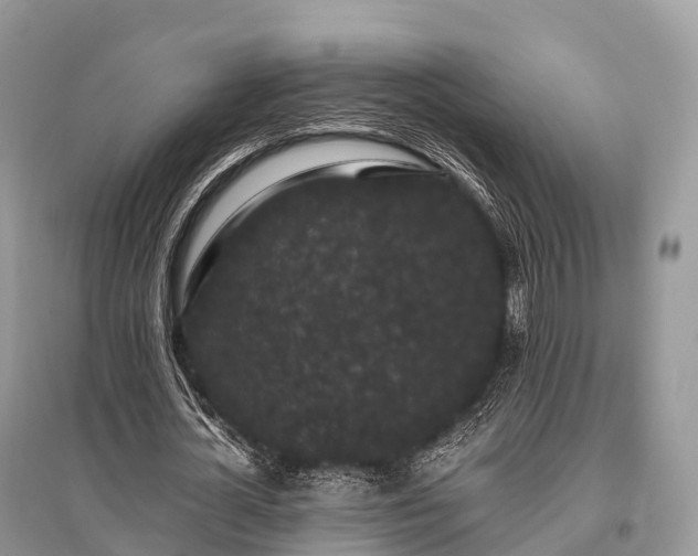 X0000096160724200801251126