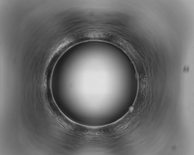 X0000096160727200801251126