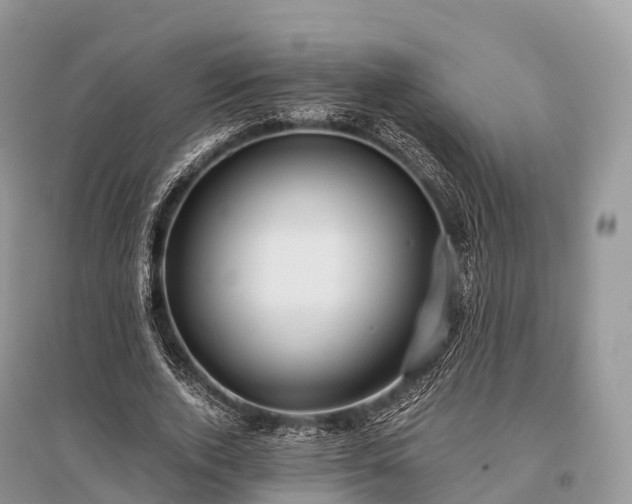 X0000096160728200801251126