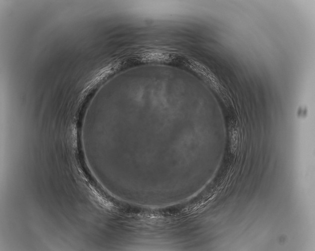 X0000096160729200801251126