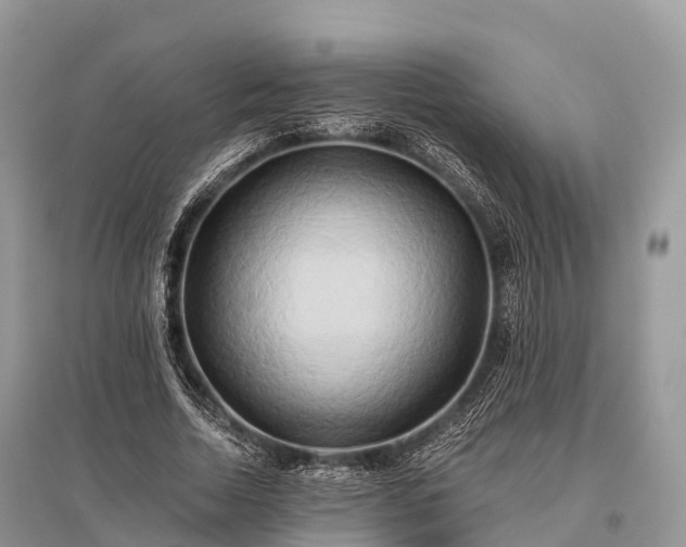 X0000096160730200801251126