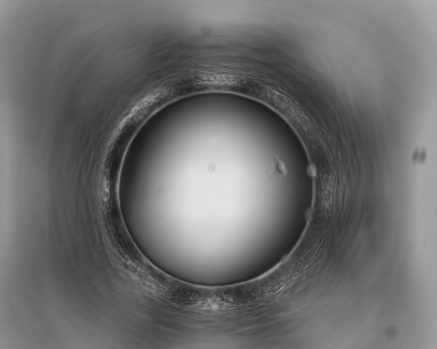 X0000096160731200801251126