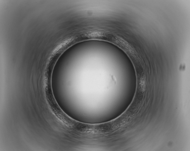 X0000096160732200801251126