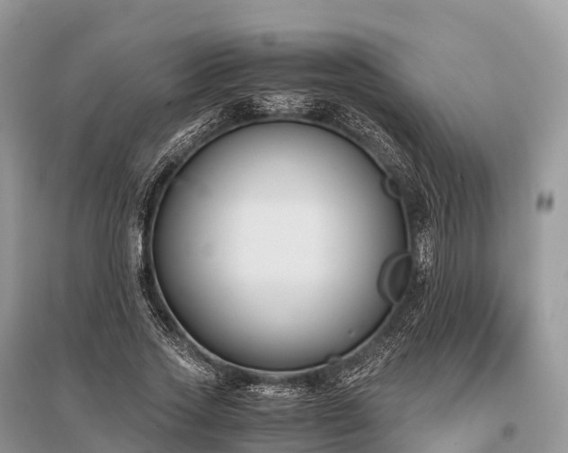 X0000096160733200801251127