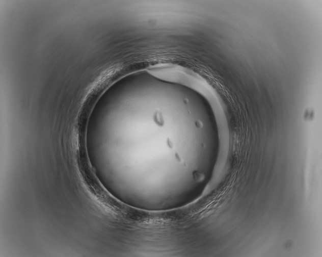 X0000096160734200801251127