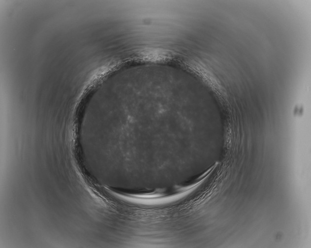 X0000096160736200801251127