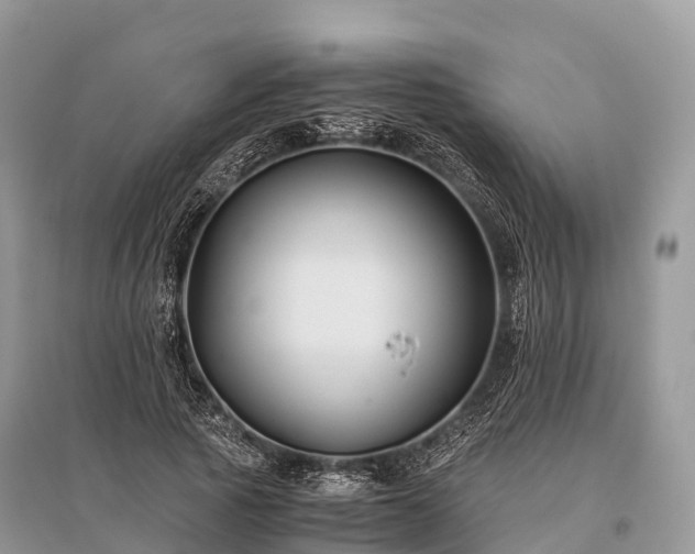 X0000096160737200801251127