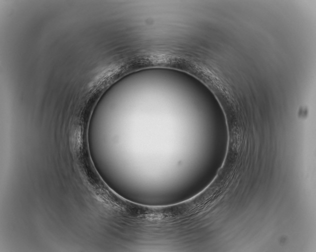 X0000096160740200801251127