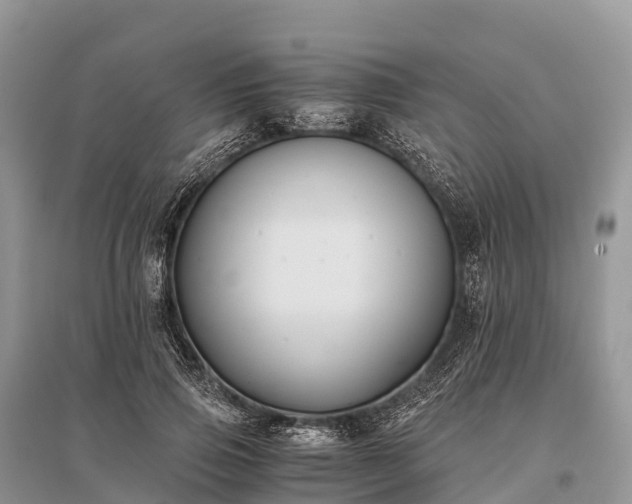 X0000096160741200801251127