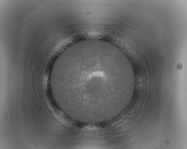 X0000096160742200801251127