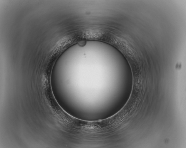 X0000096160743200801251127