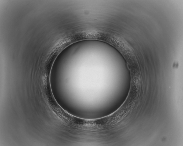 X0000096160744200801251127