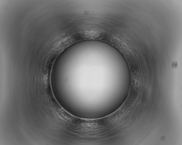 X0000096160745200801251127
