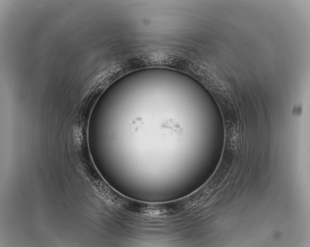 X0000096160746200801251127