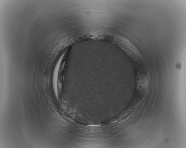 X0000096160748200801251127
