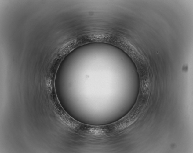 X0000096160749200801251127