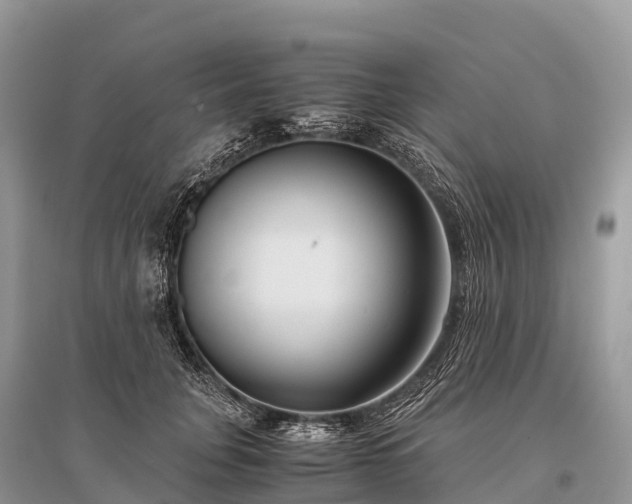 X0000096160751200801251127