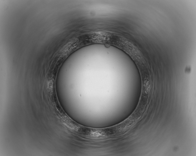 X0000096160753200801251127