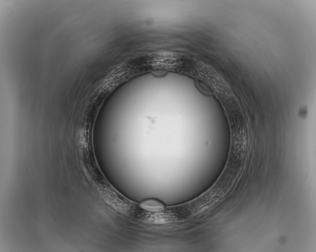X0000096160755200801251127