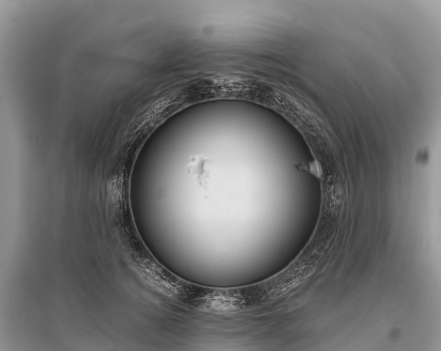 X0000096160756200801251127