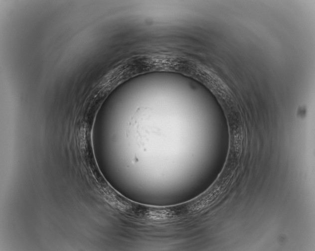 X0000096160757200801251127