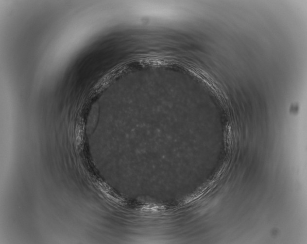 X0000096160760200801251127