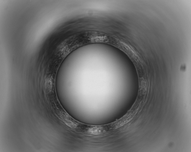 X0000096160761200801251127