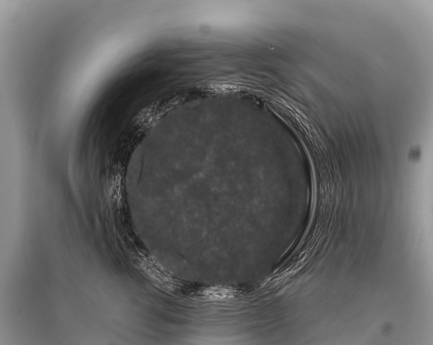 X0000096160762200801251127