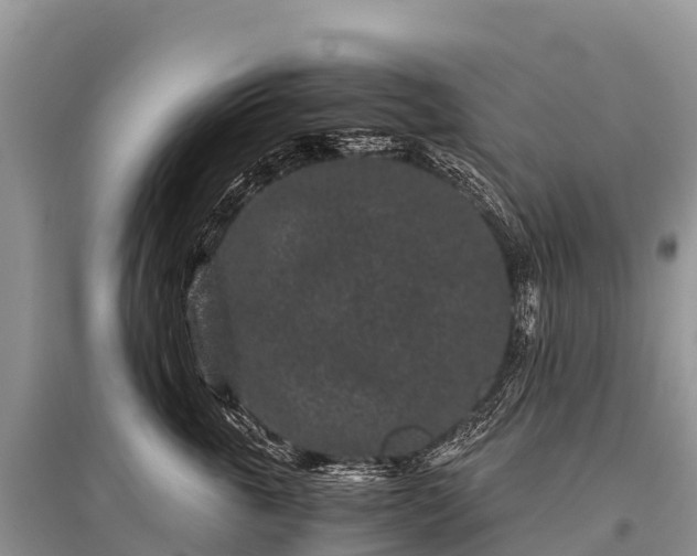 X0000096160763200801251127