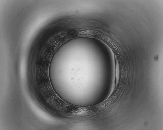 X0000096160764200801251127