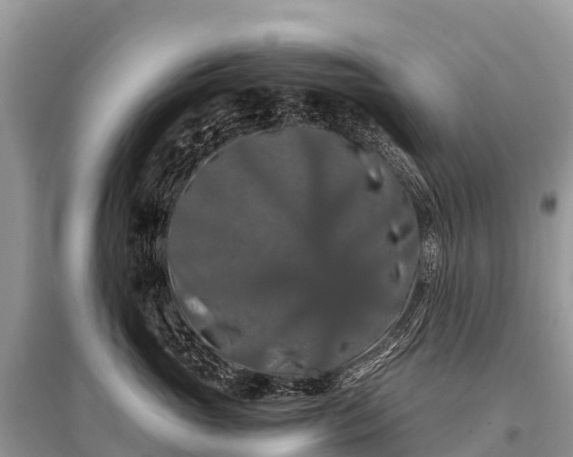 X0000096160765200801251127